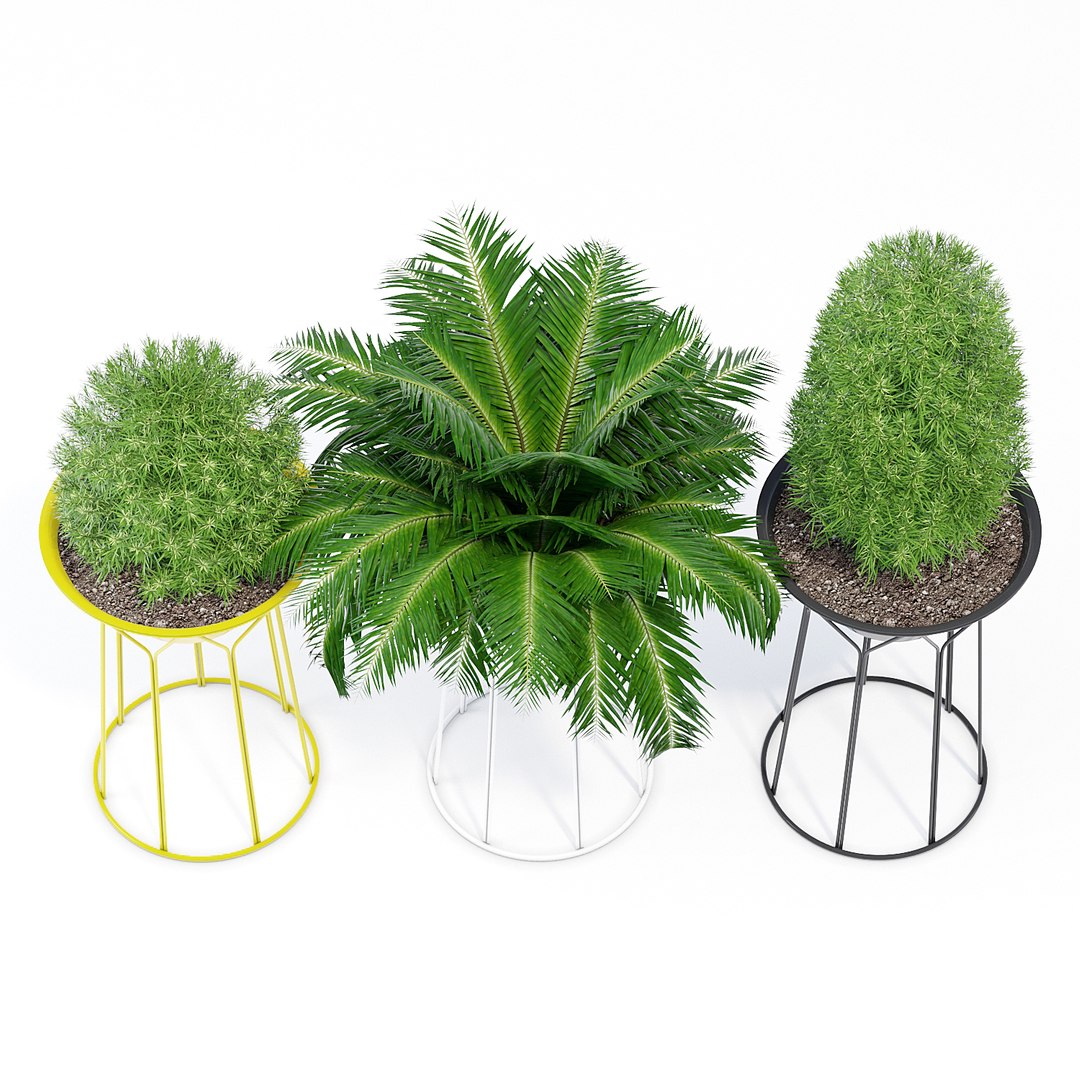 3D circus o2asis offecct https://p.turbosquid.com/ts-thumb/Pe/O2WBQx/APECOZe7/qs_2/jpg/1564602154/1920x1080/fit_q87/8280c9ddecaa24b47a119578c7db2bc712dcfa5a/qs_2.jpg