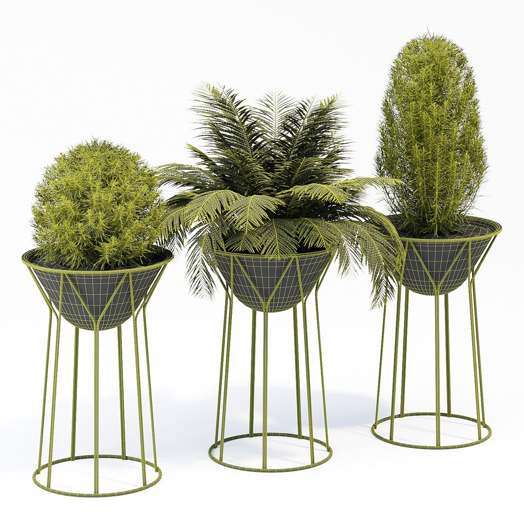 3D circus o2asis offecct https://p.turbosquid.com/ts-thumb/Pe/O2WBQx/IGUC31oZ/qs_9/jpg/1564602192/1920x1080/fit_q87/a13a583ee9e99cf7f82393da19fa90698a507e83/qs_9.jpg