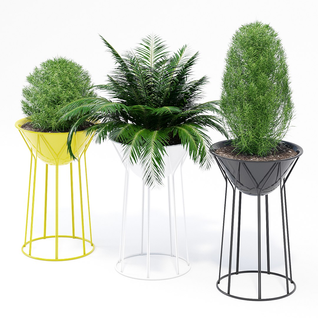 3D circus o2asis offecct https://p.turbosquid.com/ts-thumb/Pe/O2WBQx/MrFyEJyk/qs_4/jpg/1564602140/1920x1080/fit_q87/fe658b3b06cf60fdc2676c90e2c519b57632d7be/qs_4.jpg