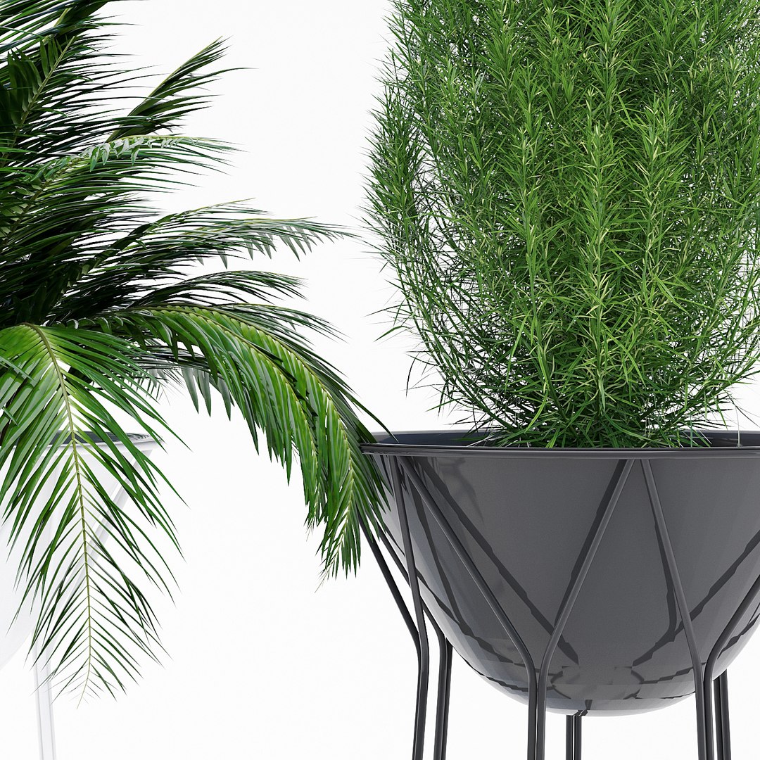 3D circus o2asis offecct https://p.turbosquid.com/ts-thumb/Pe/O2WBQx/lfSfEusz/qs_6/jpg/1564602181/1920x1080/fit_q87/19c391a1ec00fc4291cfec4d24e5ab86d5854842/qs_6.jpg