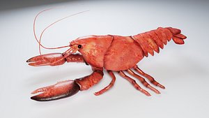 3D model Lobster