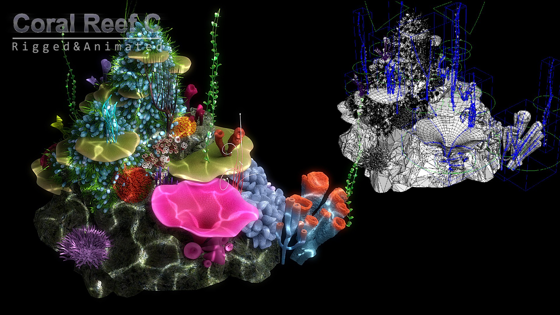 3D cartoon underwater rigged animation https://p.turbosquid.com/ts-thumb/Pe/WI2qFw/A0OoX45S/x6/jpg/1519803329/1920x1080/fit_q87/ebb63c3cf2cb3817d4f7eb5681c8c507c918d38c/x6.jpg