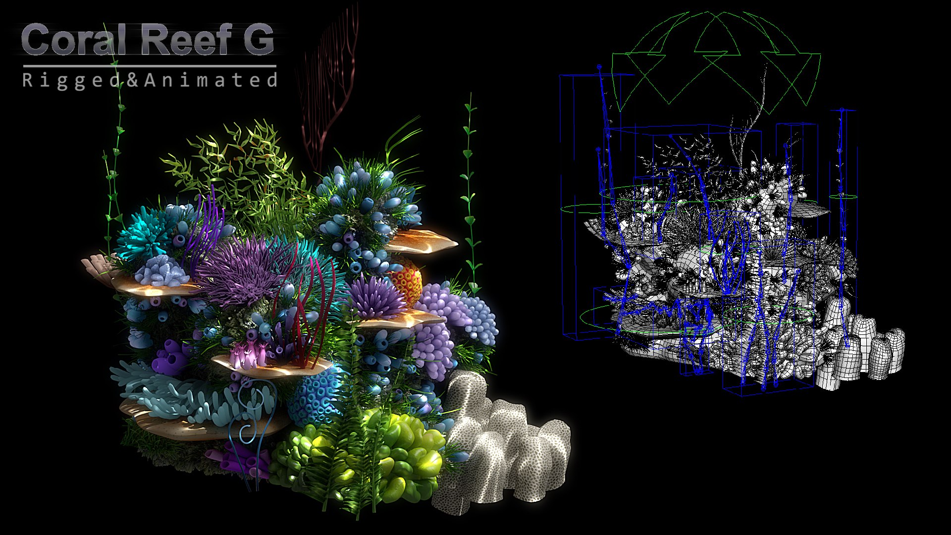 3D cartoon underwater rigged animation https://p.turbosquid.com/ts-thumb/Pe/WI2qFw/BRIyTCgr/x10/jpg/1519803329/1920x1080/fit_q87/41a388aaf304f662e02508a27d5b2c5880e8babc/x10.jpg