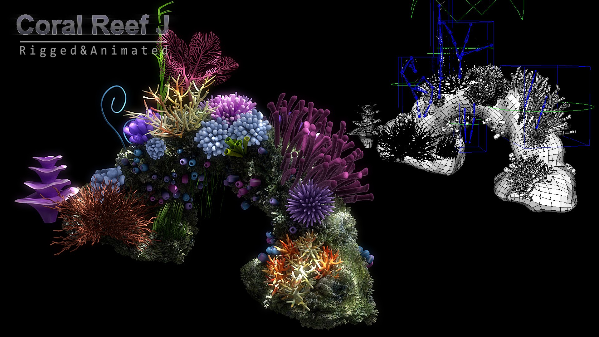 3D cartoon underwater rigged animation https://p.turbosquid.com/ts-thumb/Pe/WI2qFw/IPo4ScYI/x13/jpg/1519803386/1920x1080/fit_q87/3f4a64e620786ce5a1650d47a00d9aedd915e2f7/x13.jpg