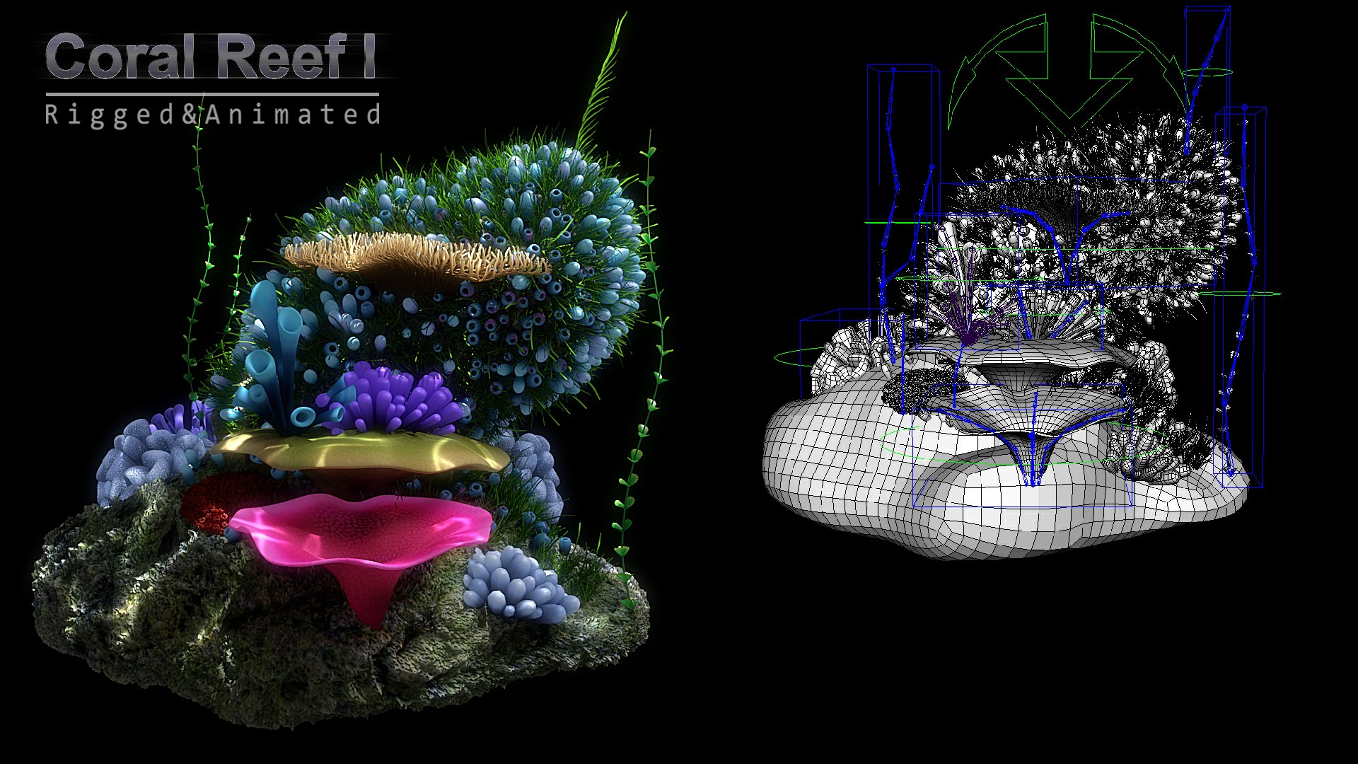 3D cartoon underwater rigged animation https://p.turbosquid.com/ts-thumb/Pe/WI2qFw/Nh8pPJCT/x12/jpg/1519803386/1920x1080/fit_q87/4e12ff6f18700466d4e2a38057d184f91b47ea70/x12.jpg