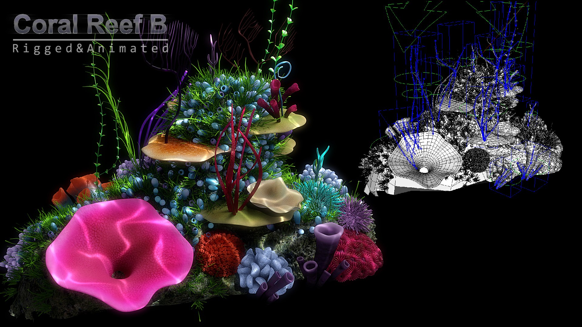 3D cartoon underwater rigged animation https://p.turbosquid.com/ts-thumb/Pe/WI2qFw/dQseHBdC/x5/jpg/1519803329/1920x1080/fit_q87/66a06385894c8d3b1c90af7dfcfdefd032c0a8cc/x5.jpg