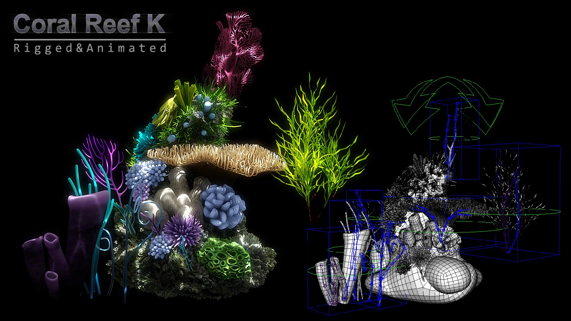 3D cartoon underwater rigged animation https://p.turbosquid.com/ts-thumb/Pe/WI2qFw/u8qMKcl3/x14/jpg/1519803387/1920x1080/fit_q87/000ba4407fa461236e87ab562eadc716ee513724/x14.jpg