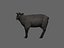 ready sheep set animations 3d fbx