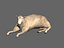 ready sheep set animations 3d fbx