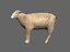 ready sheep set animations 3d fbx