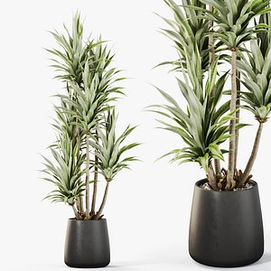 Plants collection 1112 3D model