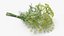 黄色开花植物系列 5