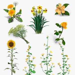 Yellow Flowering Plants Collection 5