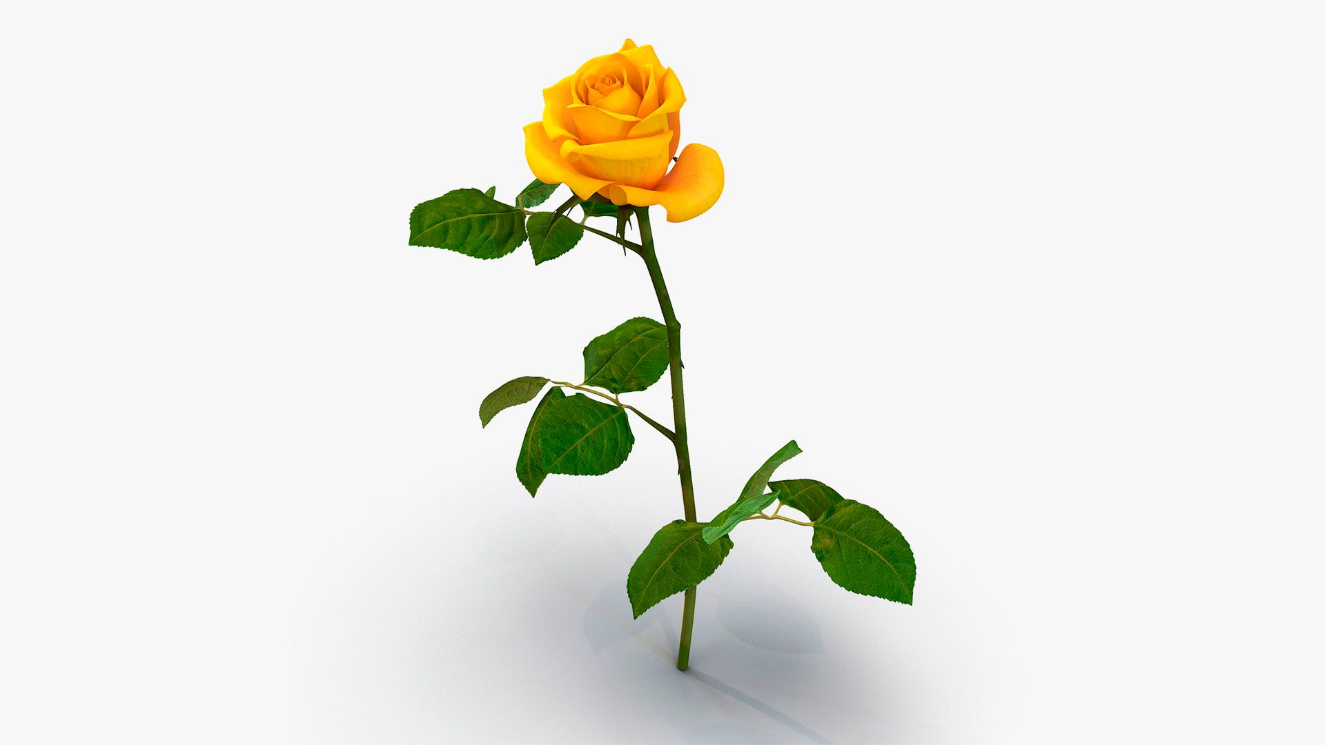 Yellow Flowering Plants Collection 5 3D model https://p.turbosquid.com/ts-thumb/Pe/aRICmc/y8/yellow_flowering_plants_collection_5_031/jpg/1767090553/1920x1080/fit_q87/415a3c6467c90a207c8c59c36ca921638fa0b9c2/yellow_flowering_plants_collection_5_031.jpg