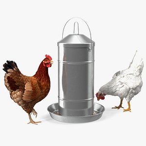 Poultry Feeder with Chickens 3D