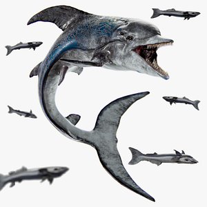 Dolphin and Remora - Realistic 3D Model - Animated Marine Monster - 62