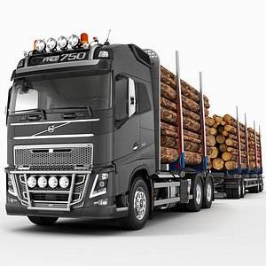 VOLVO FH Timber