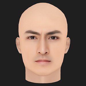 Low Poly Kenny Ho Kar-king Head