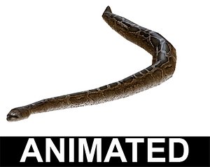 Snake