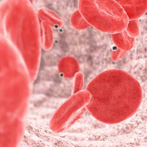 blood cells vein Blood animated