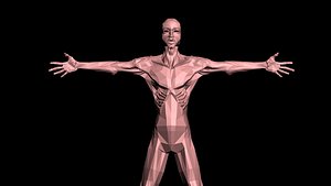 3D human man strange model