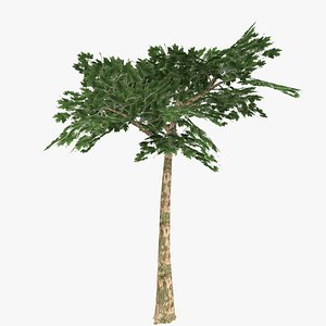 3ds realistic platanus tree type