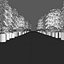 Forest Path 2