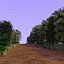 Forest Path 2