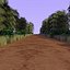 Forest Path 2