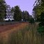 Forest Path 2