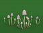Mushroom Pack Low Poly Assets
