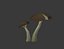 Mushroom Pack Low Poly Assets