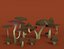 Mushroom Pack Low Poly Assets