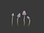 Mushroom Pack Low Poly Assets