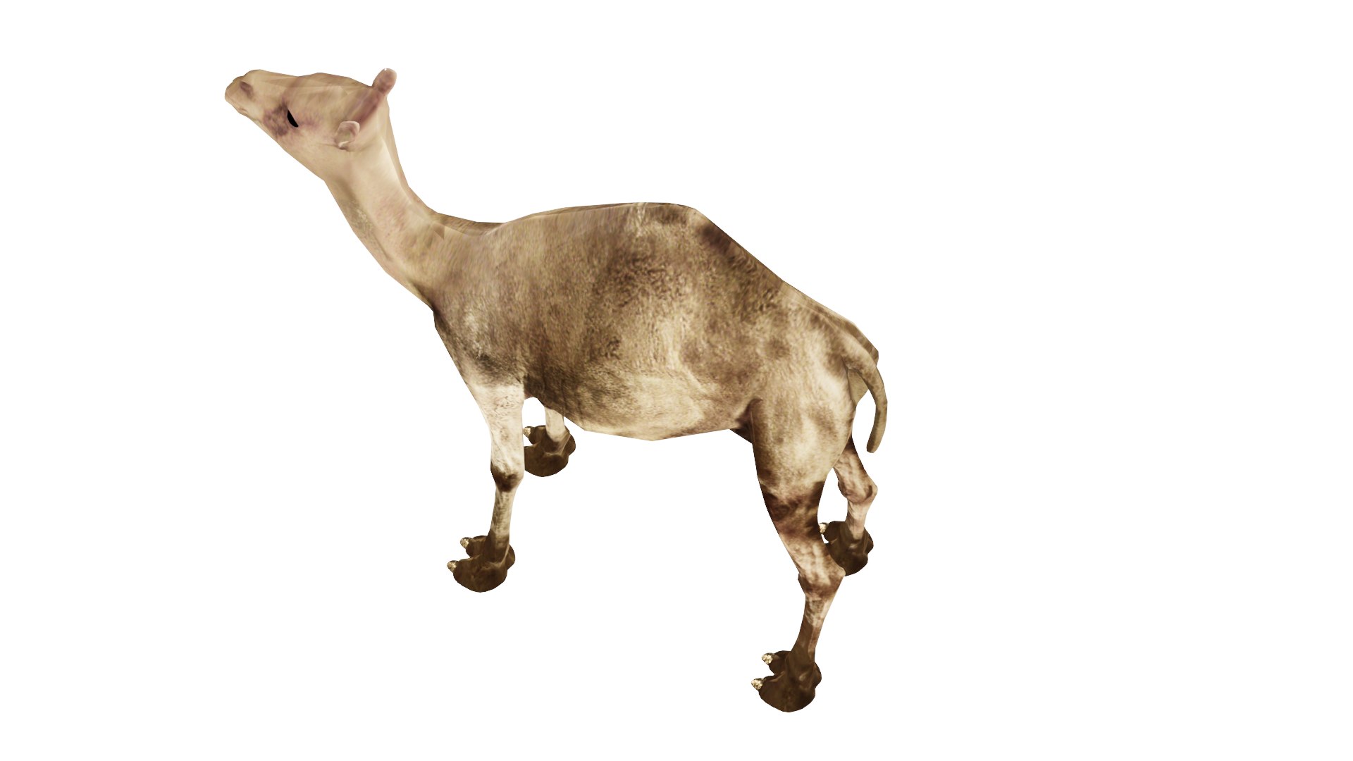 camel model https://p.turbosquid.com/ts-thumb/Pf/jkyp1B/yv/c5/png/1650356781/1920x1080/fit_q87/1a82efc76a761b4cc87a7749362547cad3f7c7a5/c5.jpg