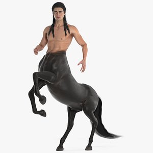 Long Haired Male Centaur Action Pose 3D model