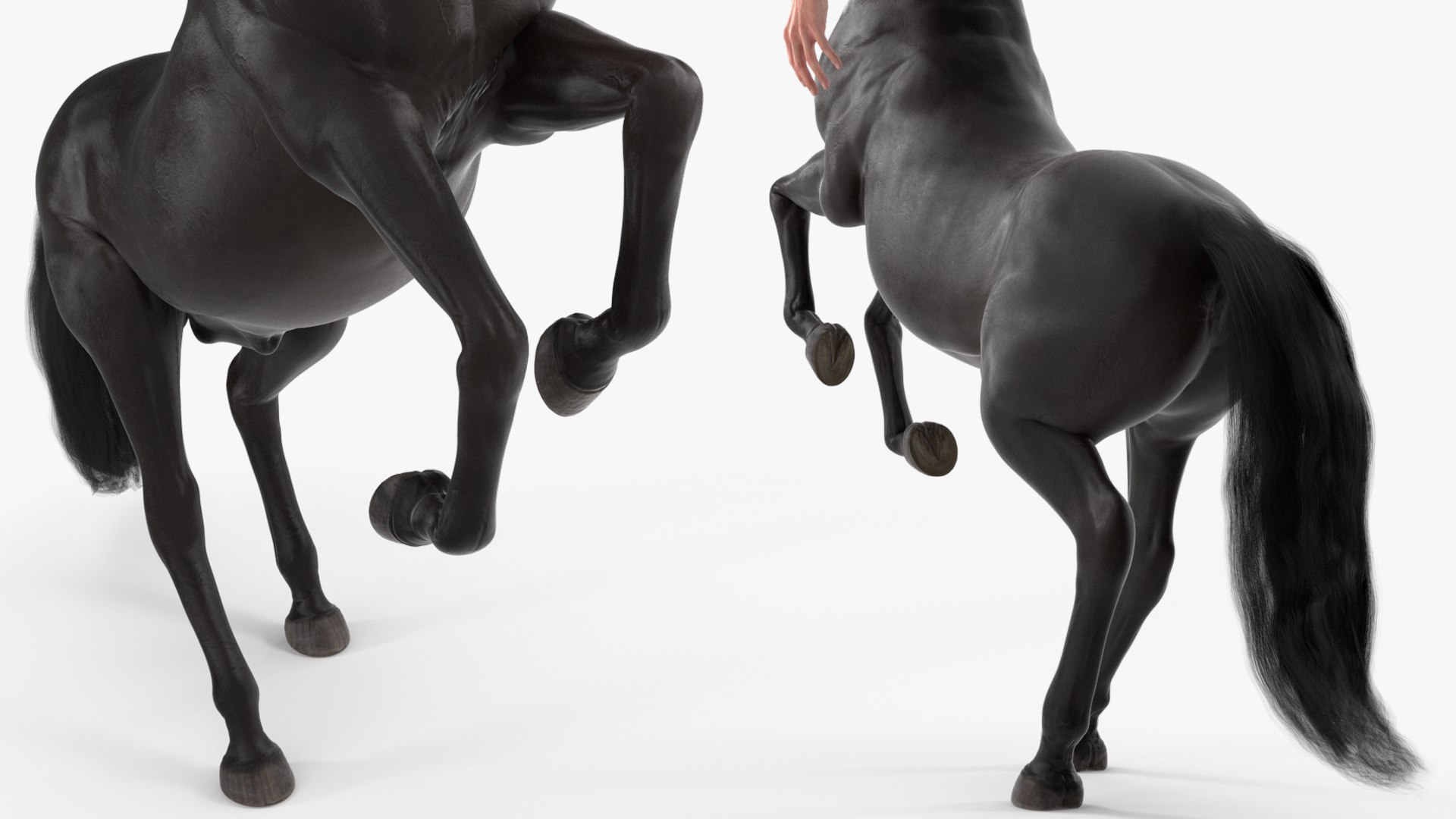 Long Haired Male Centaur Action Pose 3D model https://p.turbosquid.com/ts-thumb/Pf/lHBTLF/ym/long_haired_male_centaur_action_pose_009/jpg/1746910792/1920x1080/fit_q87/7bd7eb2907a5447f82ff9ac51d4d9a9d3a77298a/long_haired_male_centaur_action_pose_009.jpg