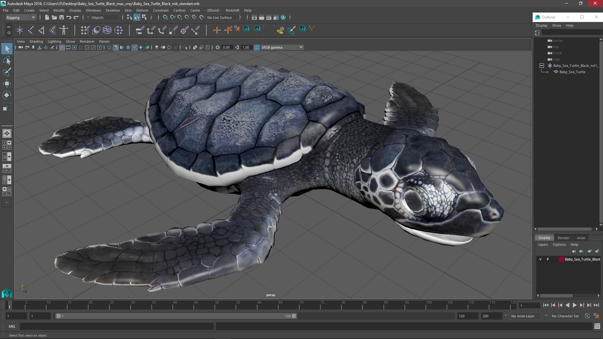 Baby Sea Turtle Black 3D Model - TurboSquid 2201995