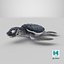 Baby Sea Turtle Black 3D model