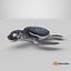 Baby Sea Turtle Black 3D model