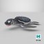 Baby Sea Turtle Black 3D model