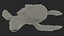 Baby Sea Turtle Black 3D model