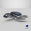 Baby Sea Turtle Black 3D model