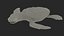 Baby Sea Turtle Black 3D model