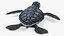 Baby Sea Turtle Black 3D model