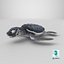Baby Sea Turtle Black 3D model