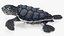 Baby Sea Turtle Black 3D model