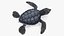 Baby Sea Turtle Black 3D model