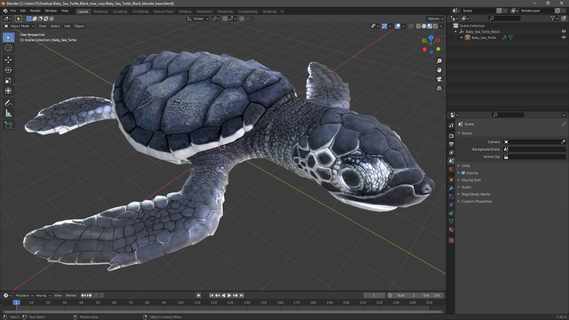 Baby Sea Turtle Black 3D Model - TurboSquid 2201995