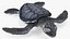 Baby Sea Turtle Black 3D model
